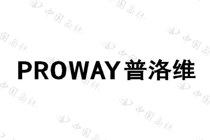 孙洪喜的企业愿景 技术服务与创新驱动的未来