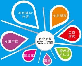 诚信铸就卓越——四川联众达信息技术咨询的专业之路